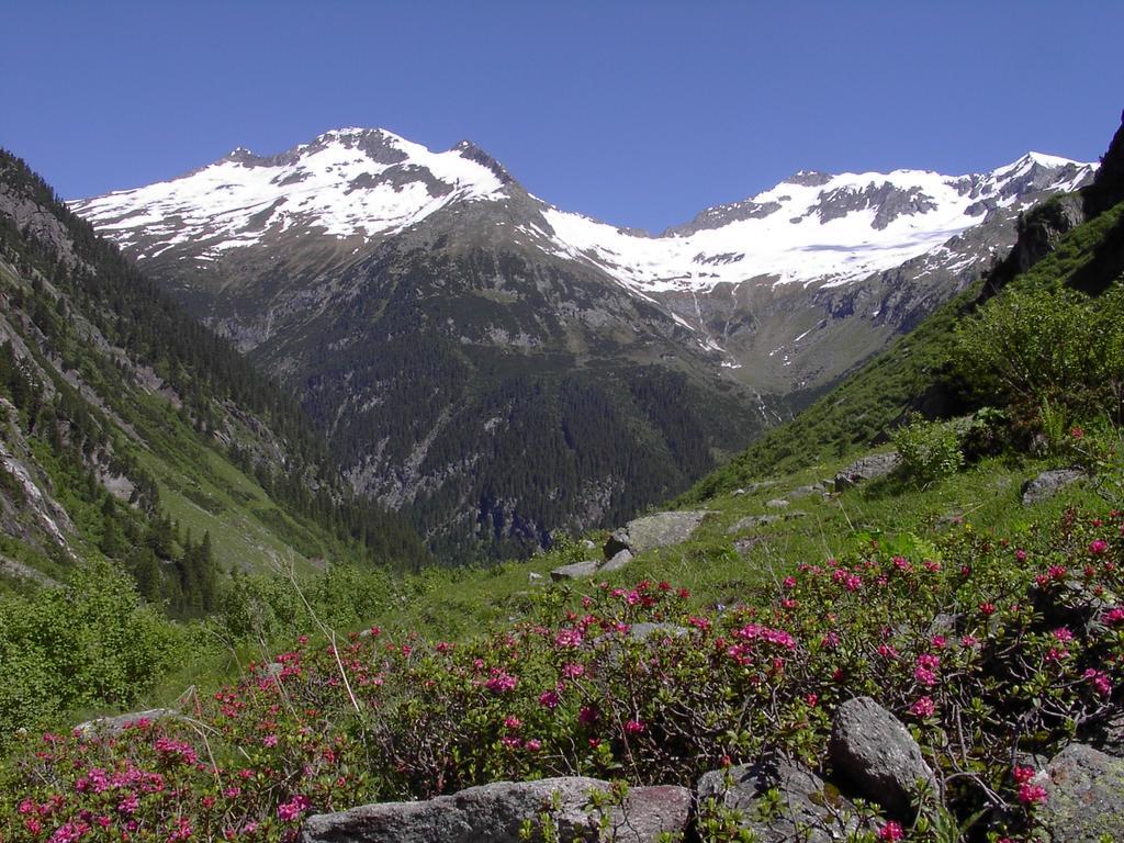 Hotel Maximilian Mayrhofen Exteriör bild